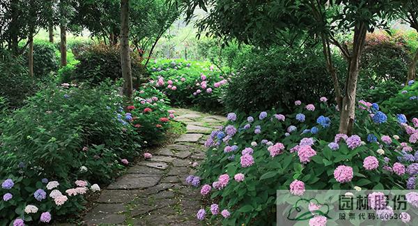 电竞比赛押注app