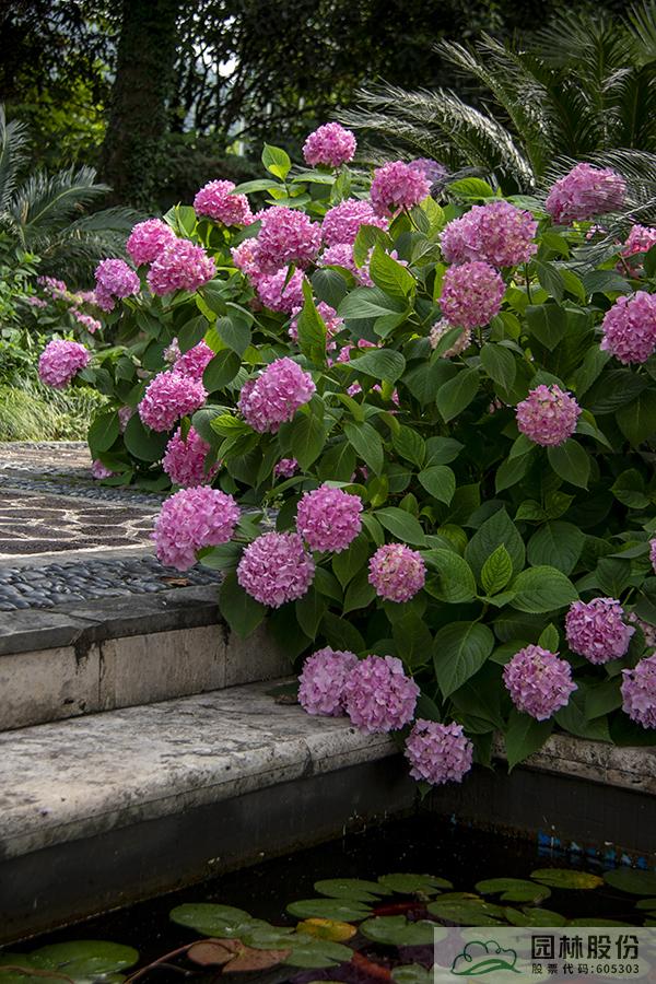 电竞比赛押注app