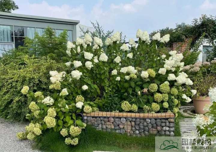 电竞比赛押注app