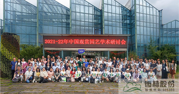 电竞比赛押注app