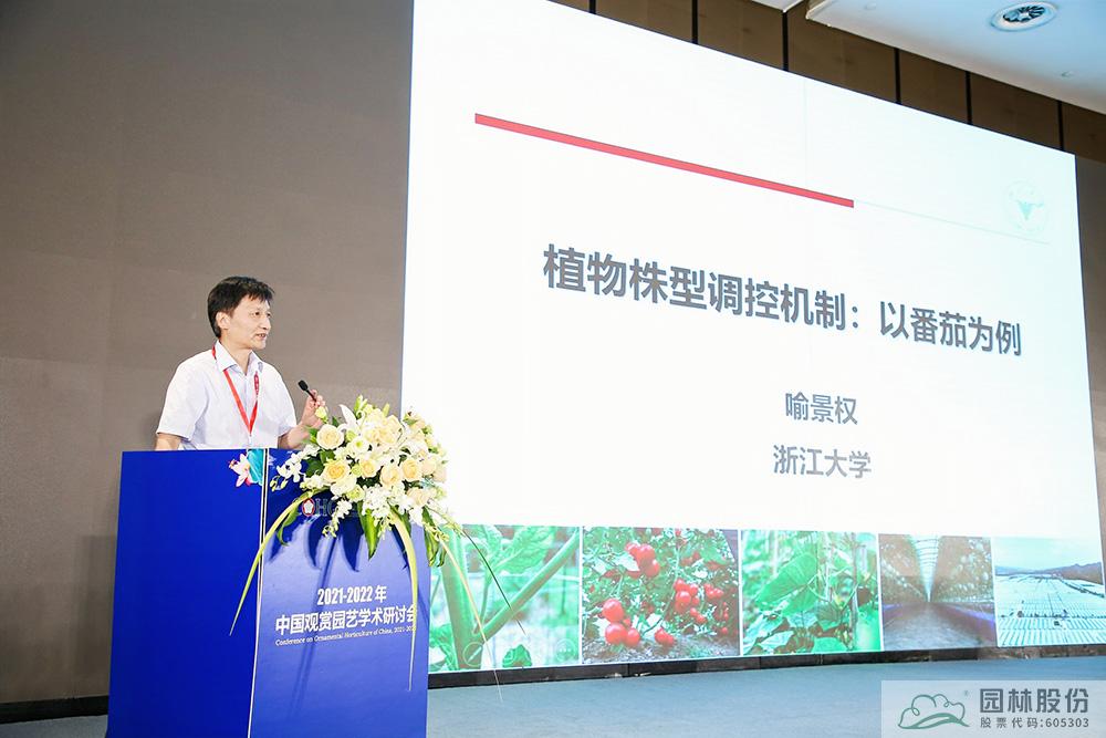 电竞比赛押注app