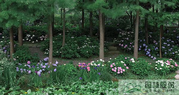 电竞比赛押注app