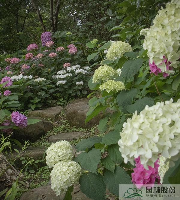 电竞比赛押注app