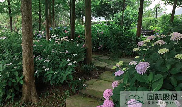 电竞比赛押注app