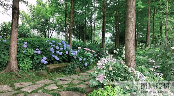 电竞比赛押注app