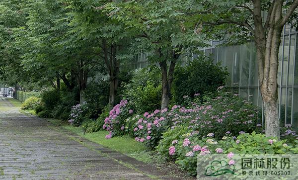 电竞比赛押注app