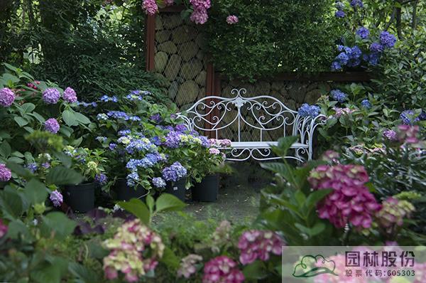 电竞比赛押注app