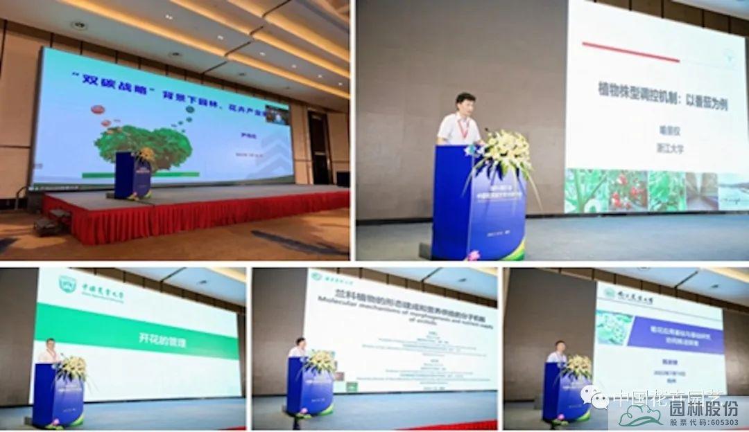 电竞比赛押注app