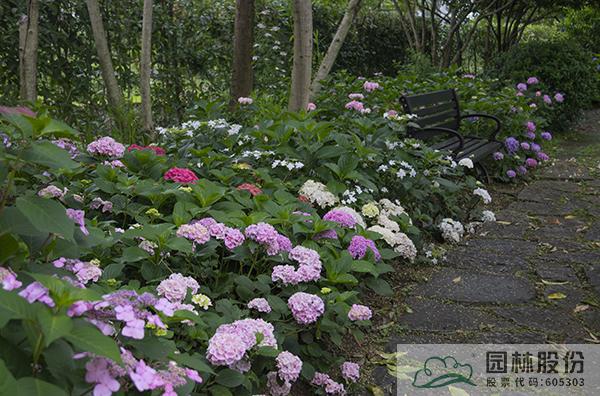 电竞比赛押注app