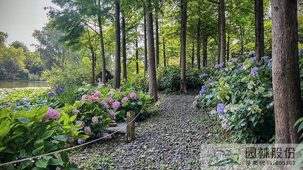 电竞比赛押注app