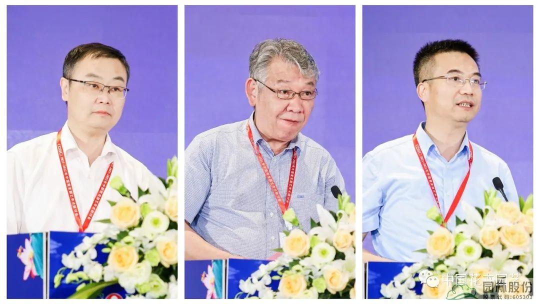 电竞比赛押注app