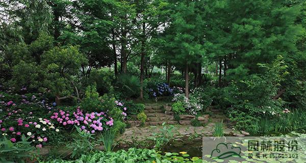 电竞比赛押注app