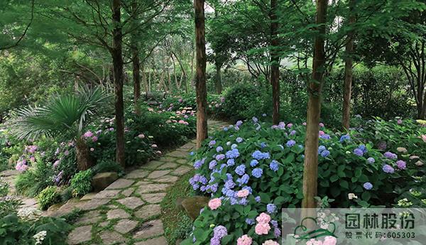 电竞比赛押注app