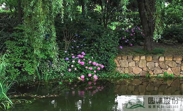 电竞比赛押注app