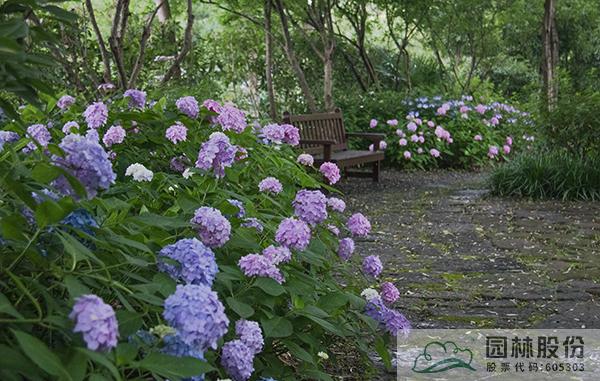 电竞比赛押注app