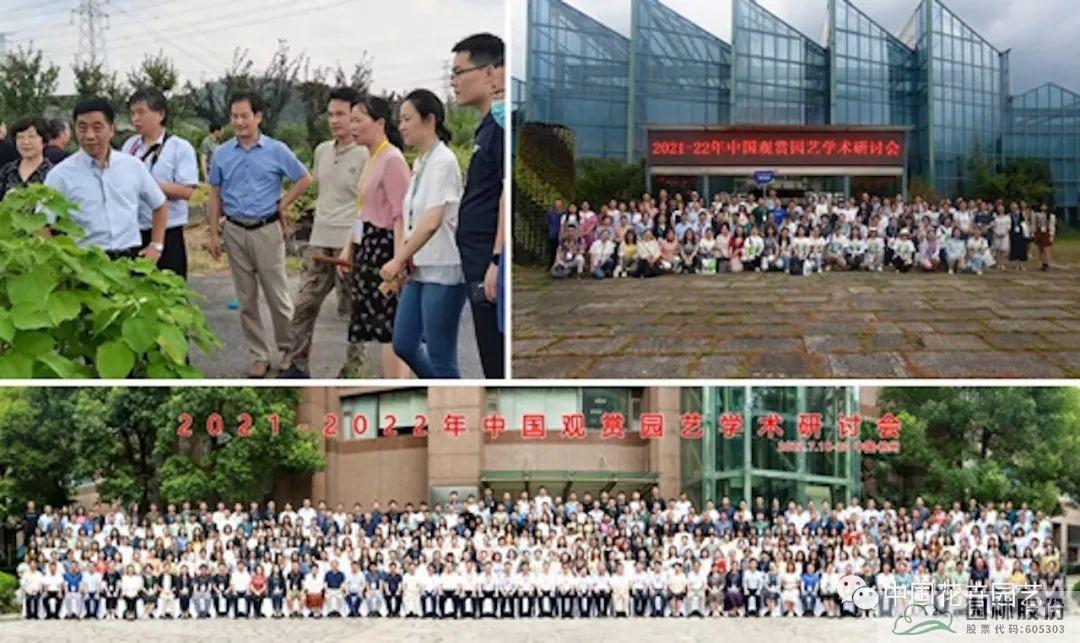 电竞比赛押注app