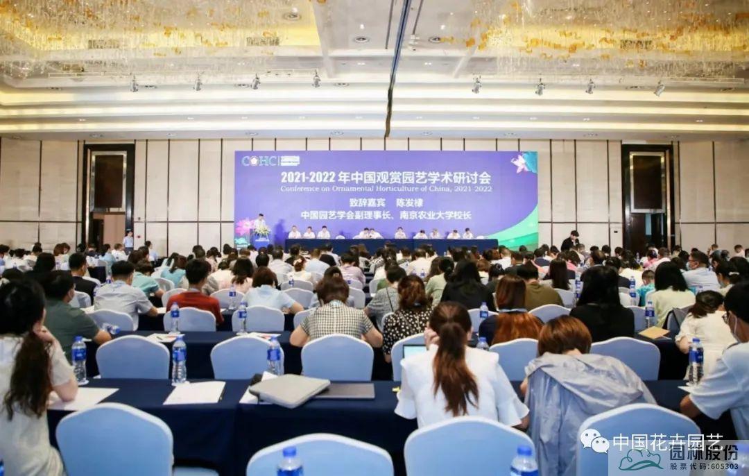 电竞比赛押注app