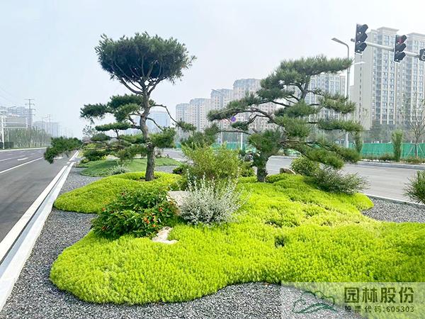 电竞比赛押注app