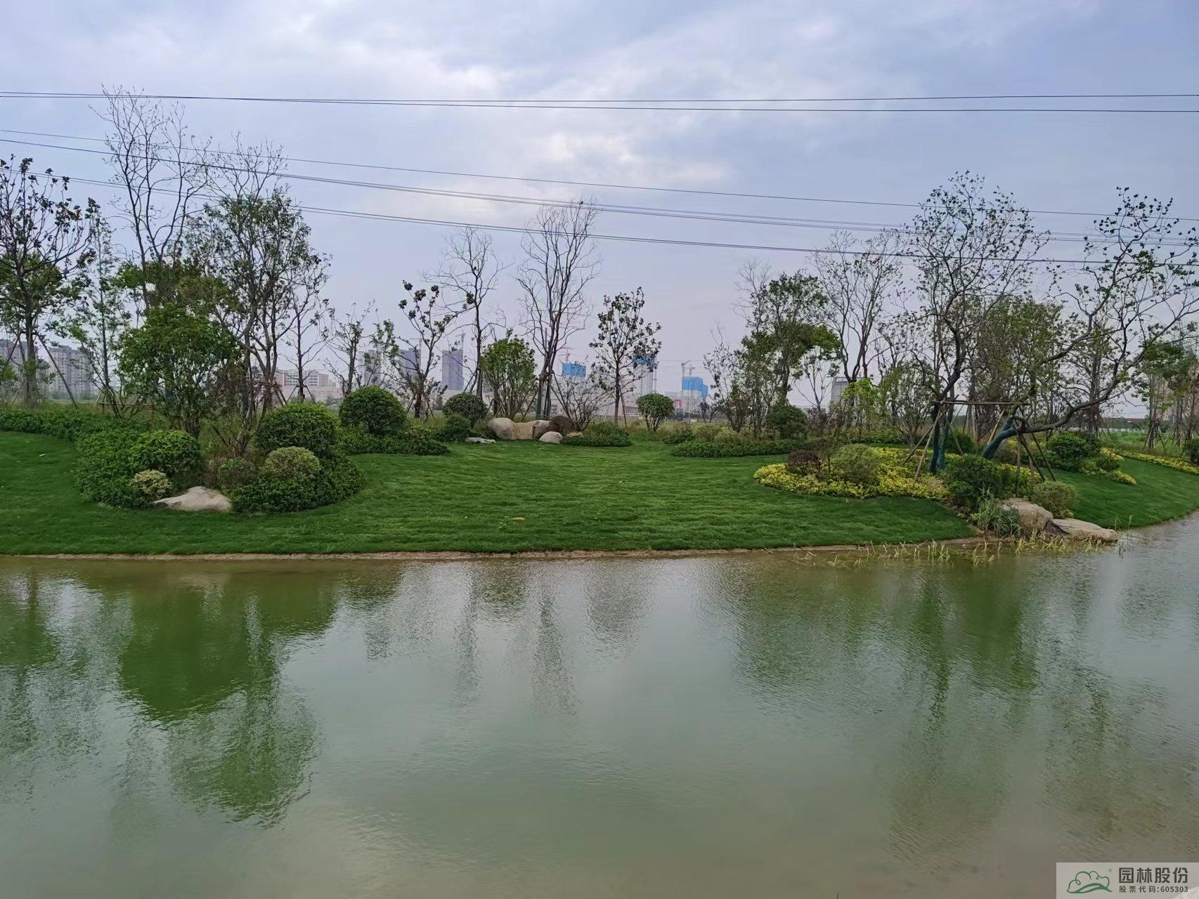 电竞比赛押注app