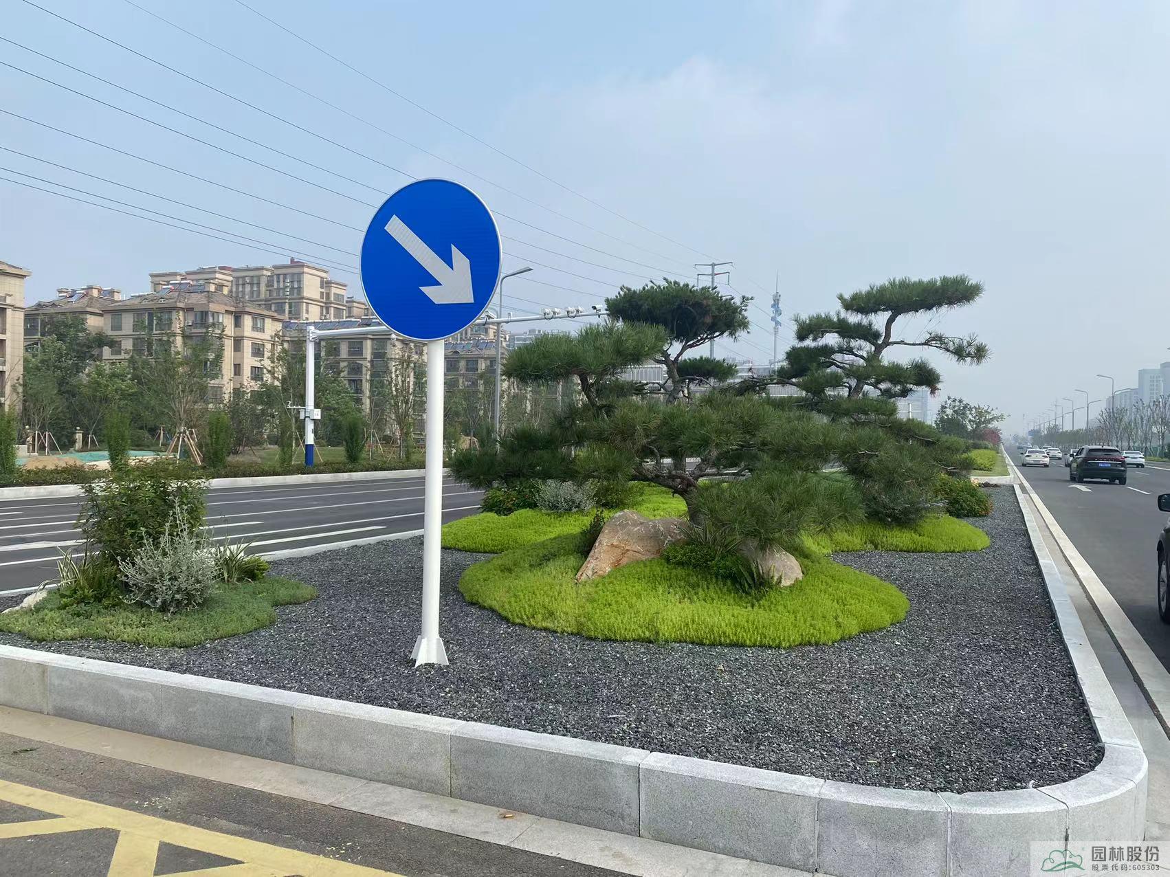 电竞比赛押注app