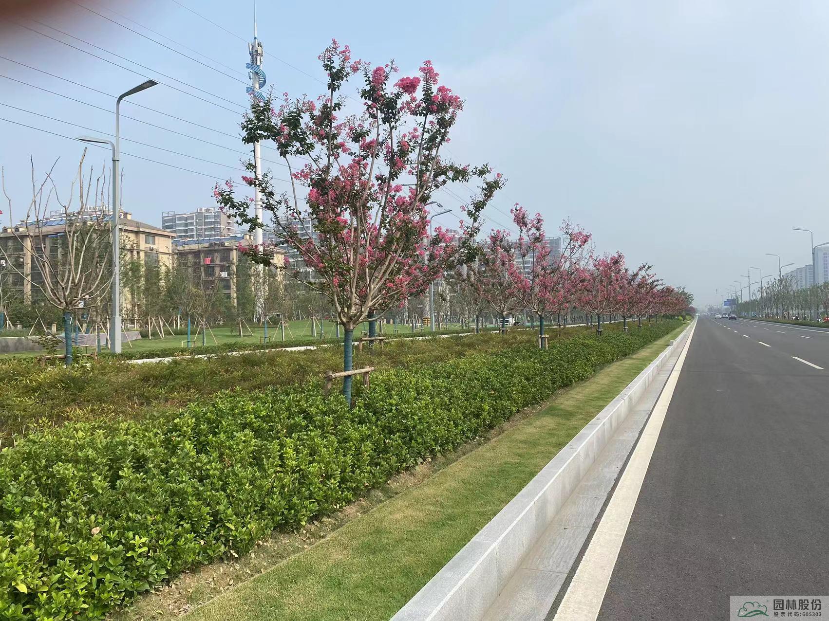 电竞比赛押注app