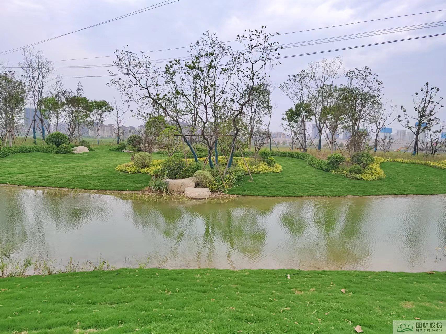 电竞比赛押注app