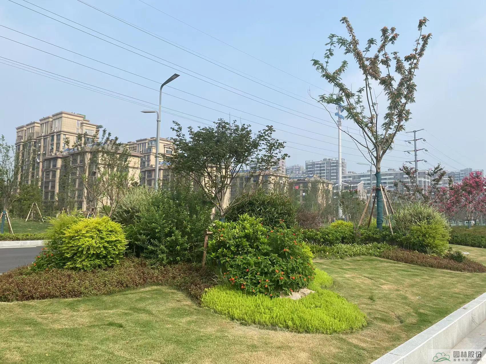 电竞比赛押注app