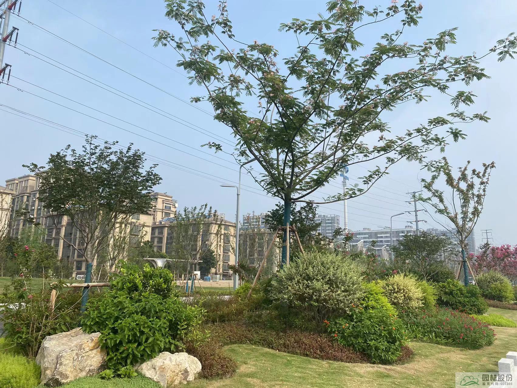 电竞比赛押注app