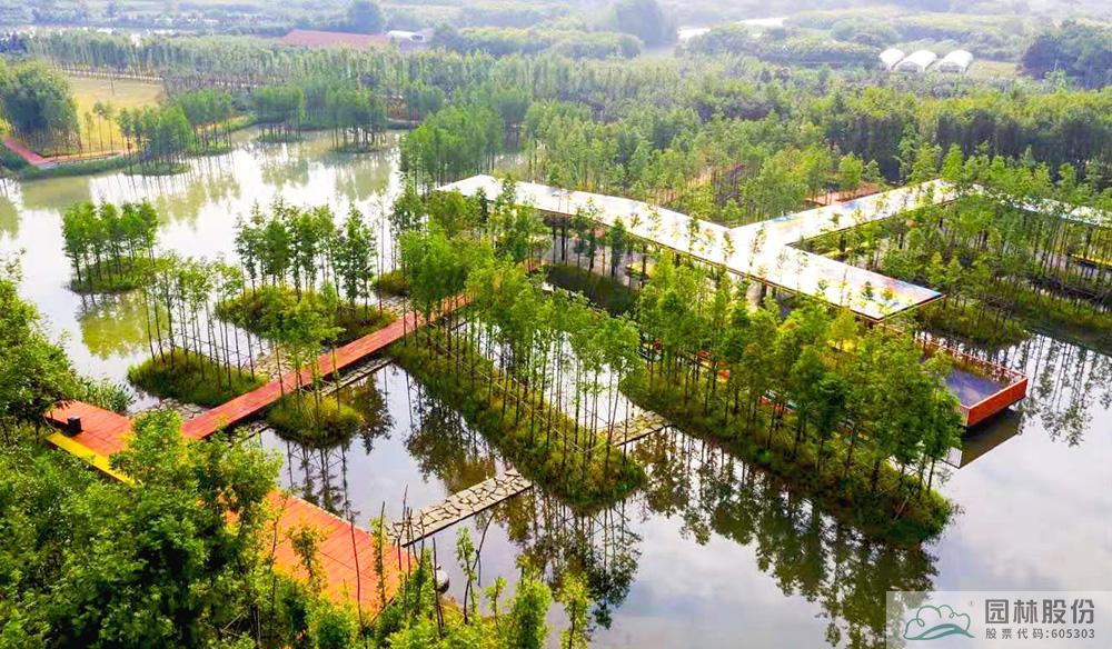 电竞比赛押注app