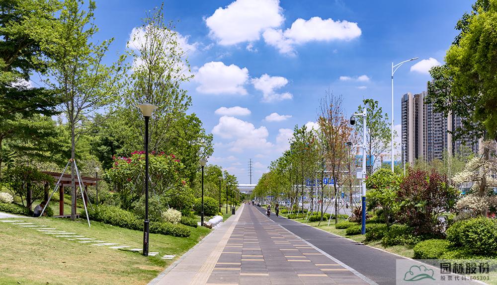 电竞比赛押注app