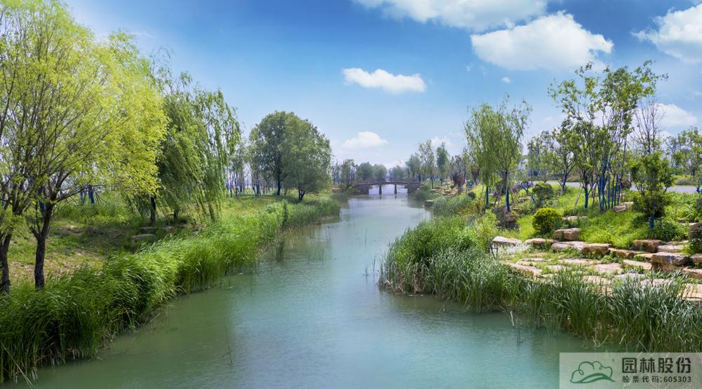 电竞比赛押注app