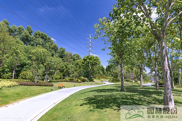 电竞比赛押注app