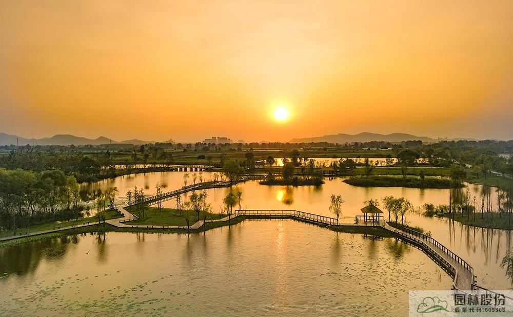 电竞比赛押注app