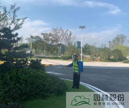 电竞比赛押注app