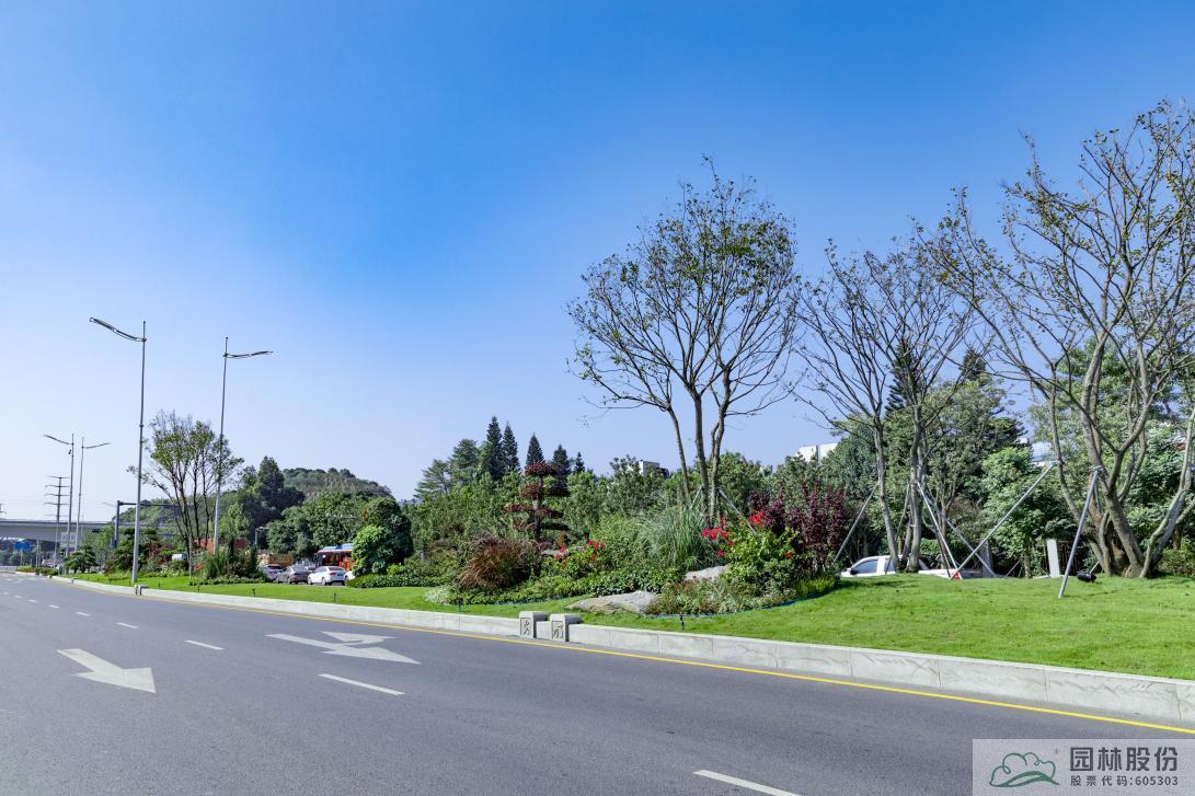 电竞比赛押注app