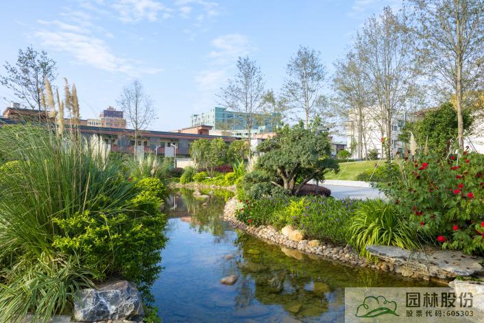 电竞比赛押注app