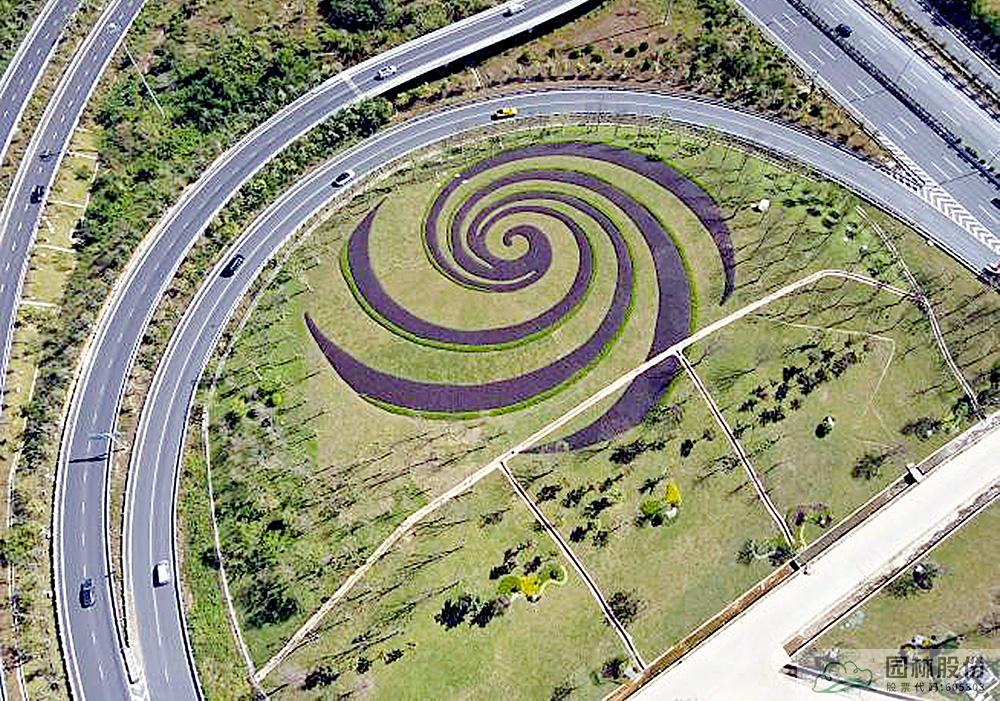 电竞比赛押注app