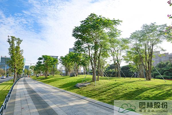 电竞比赛押注app