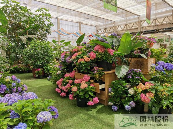 电竞比赛押注app