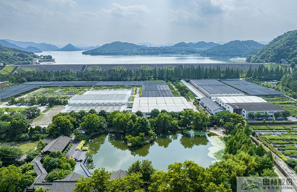 电竞比赛押注app