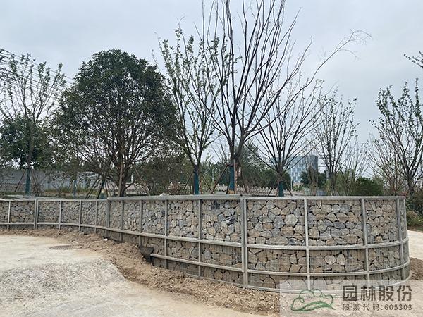 电竞比赛押注app