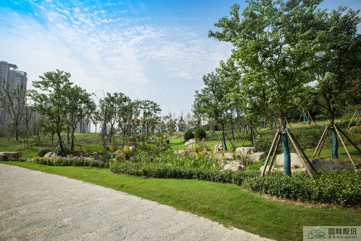 电竞比赛押注app