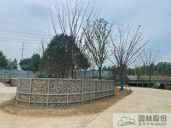 电竞比赛押注app