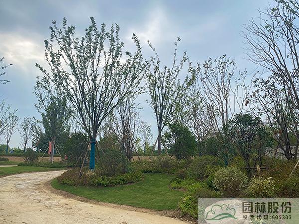 电竞比赛押注app