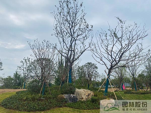 电竞比赛押注app