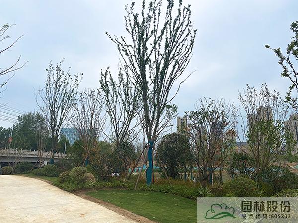 电竞比赛押注app