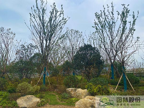 电竞比赛押注app