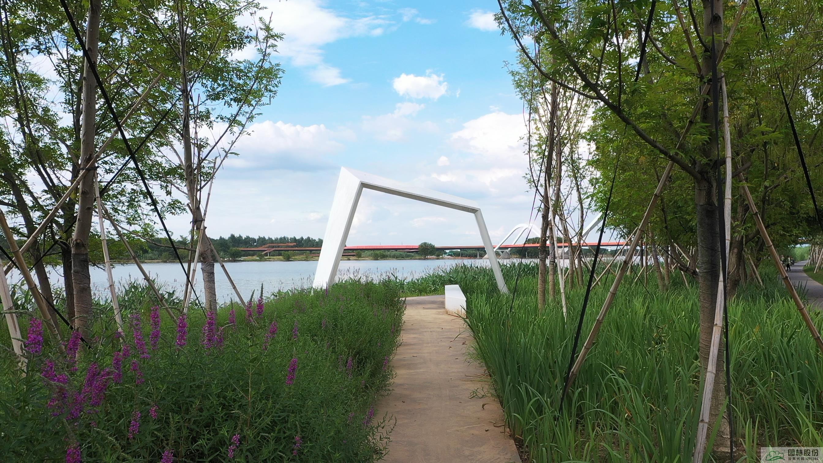 电竞比赛押注app