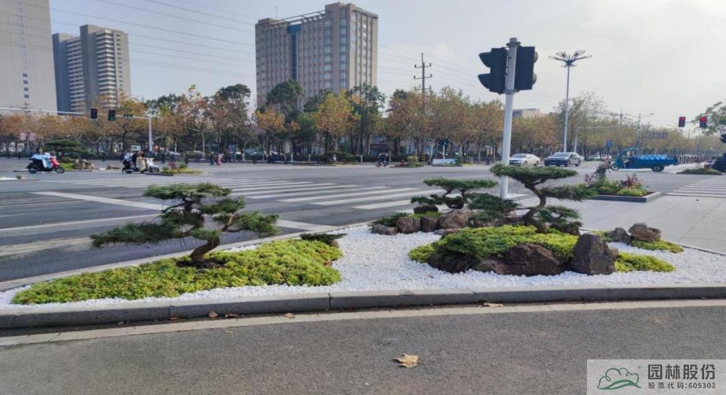 电竞比赛押注app