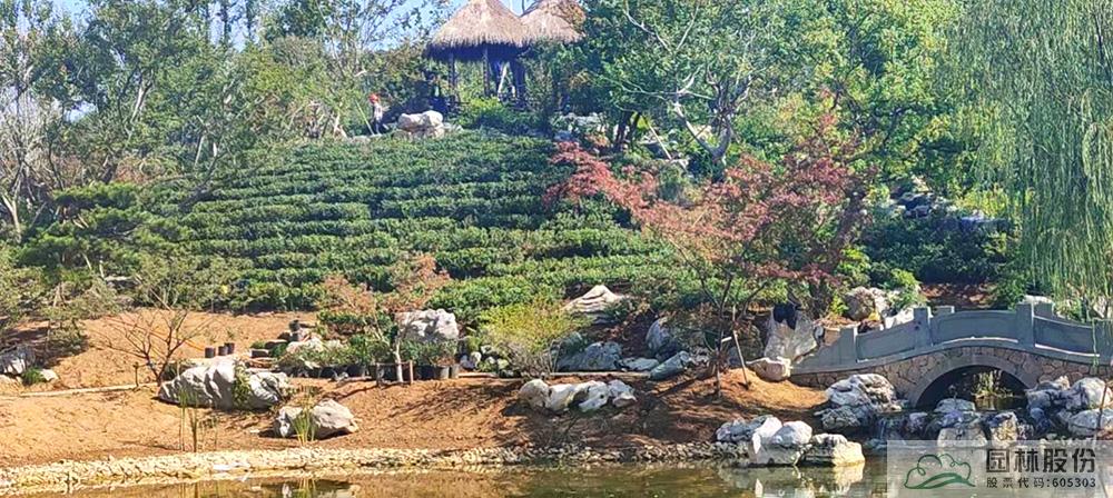 电竞比赛押注app